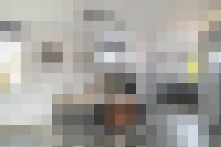 Rossinipad 34 Voorhout thumbnail 8