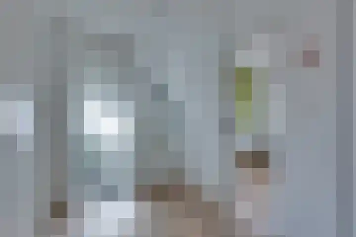 Rossinistraat 10 Lichtenvoorde thumbnail 37