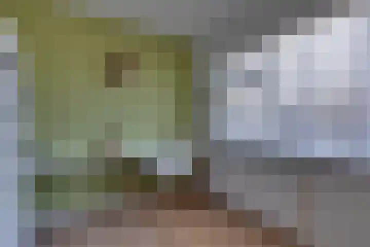 Rossinistraat 10 Lichtenvoorde thumbnail 38