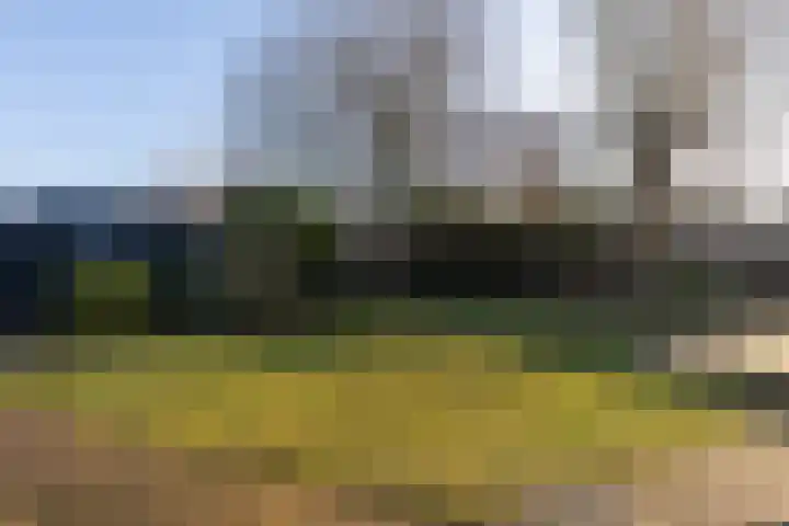 Rossinistraat 10 Lichtenvoorde thumbnail 53