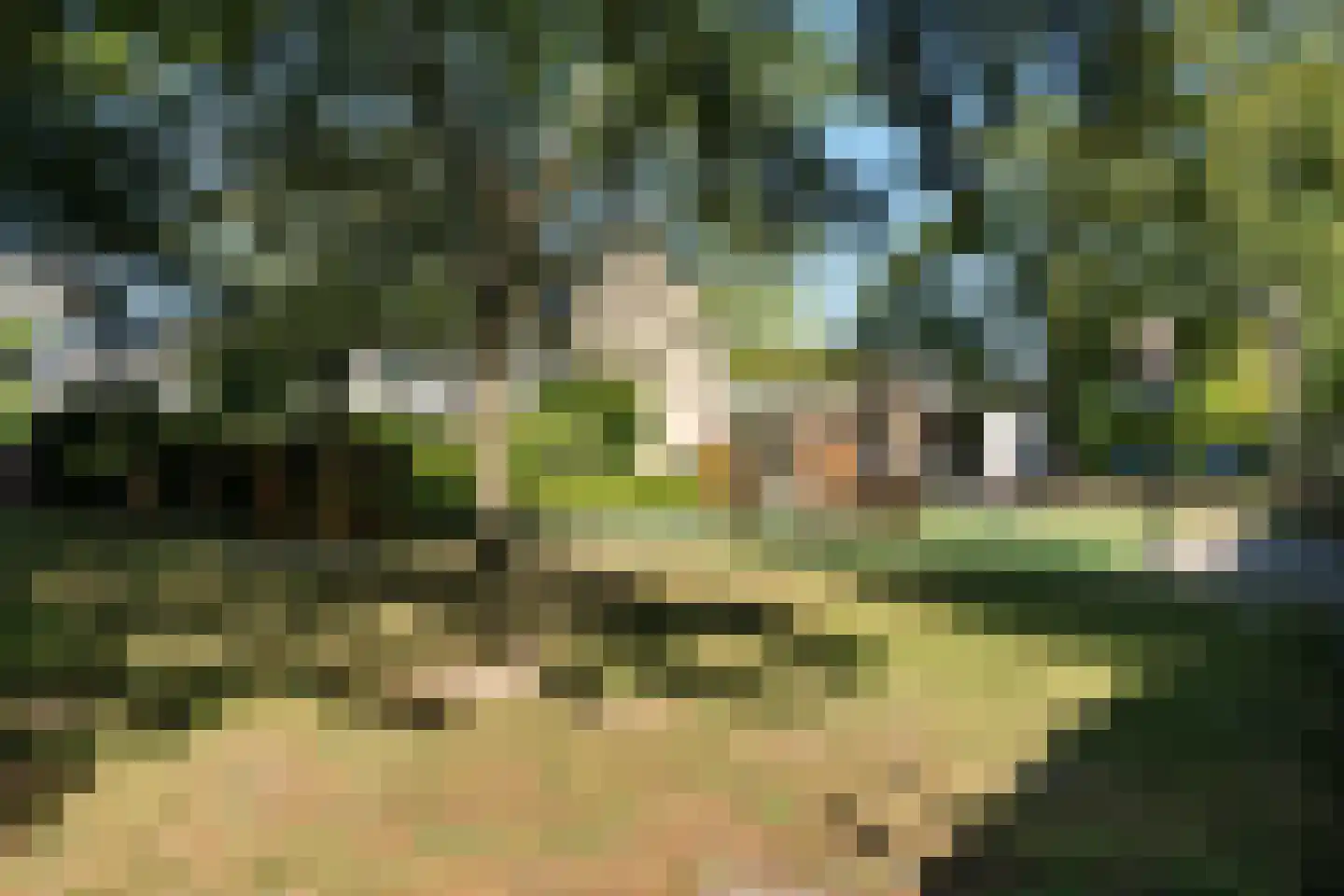 Rossinistraat 11 Delft thumbnail 39