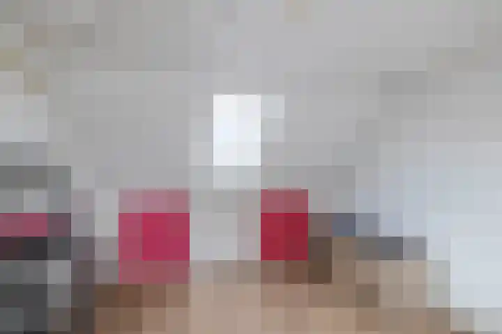 Rossinistraat 11 Schijndel thumbnail 30