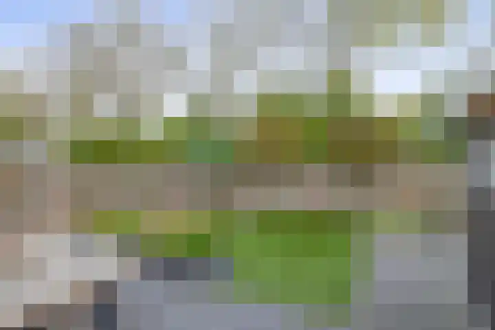 Rossinistraat 11 Schijndel thumbnail 32