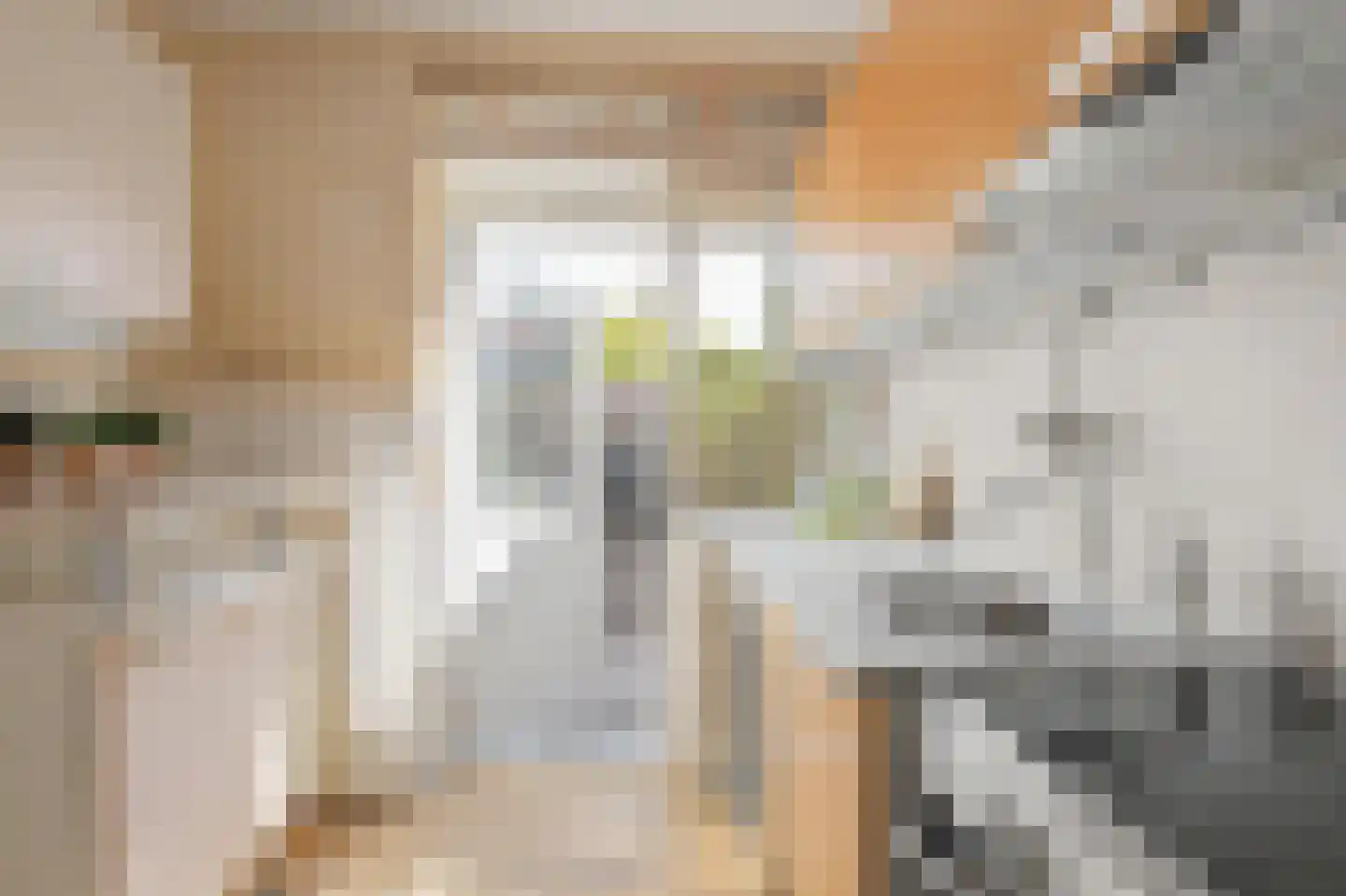 Rossinistraat 11 Terneuzen thumbnail 12