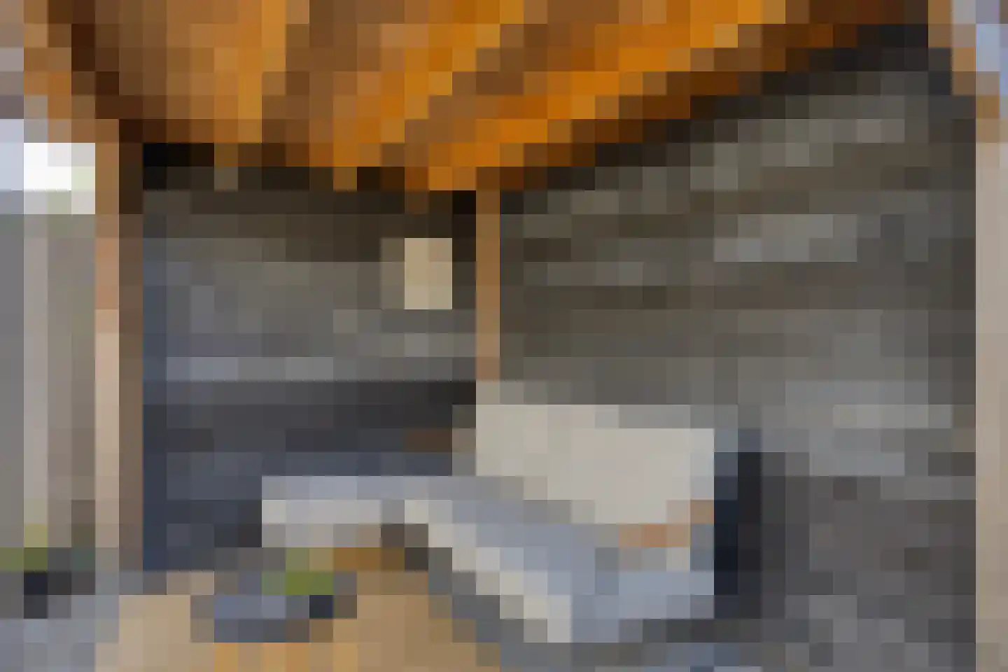 Rossinistraat 112 Heemskerk thumbnail 22