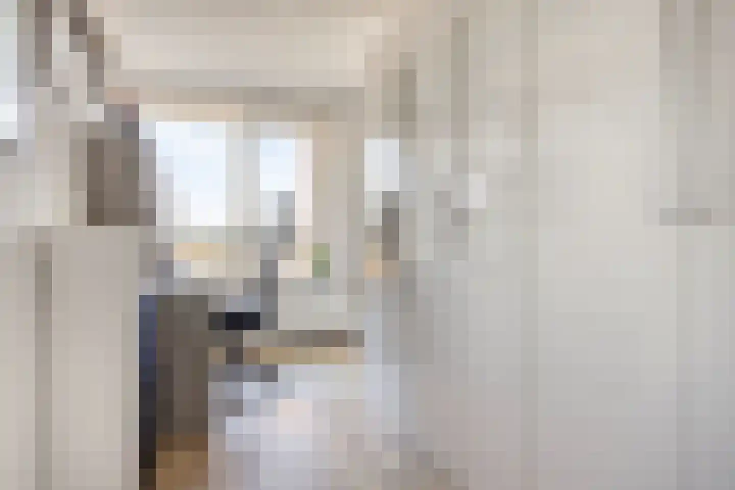 Rossinistraat 152 Capelle aan den IJssel thumbnail 17