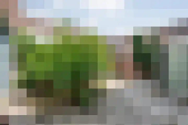 Rossinistraat 16 Zwolle thumbnail 27