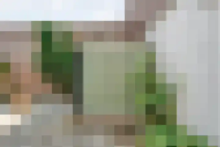 Rossinistraat 16 Zwolle thumbnail 28