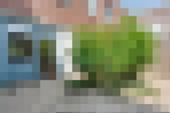 Rossinistraat 16 Zwolle thumbnail 32