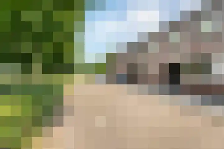 Rossinistraat 16 Zwolle thumbnail 4