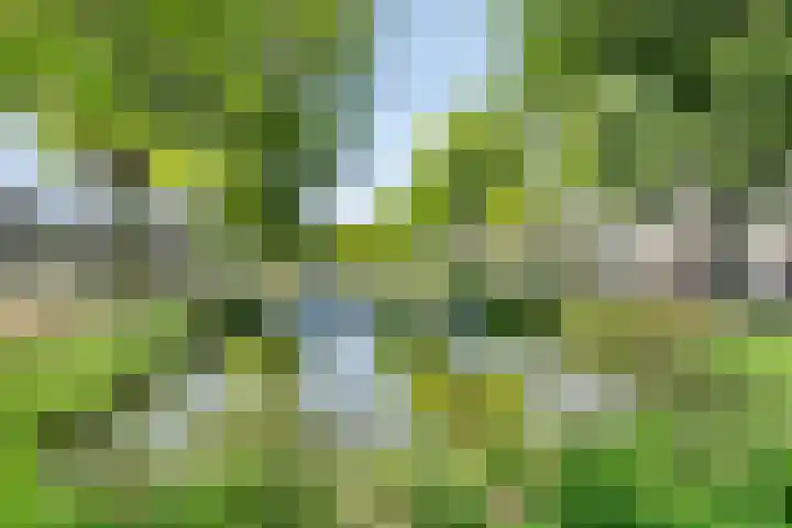 Rossinistraat 178 Capelle aan den IJssel thumbnail 34