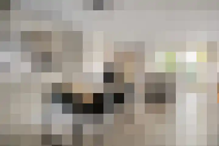 Rossinistraat 2 Waalwijk thumbnail 11