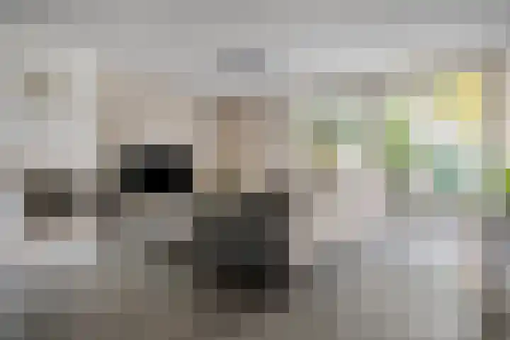 Rossinistraat 2 Waalwijk thumbnail 16