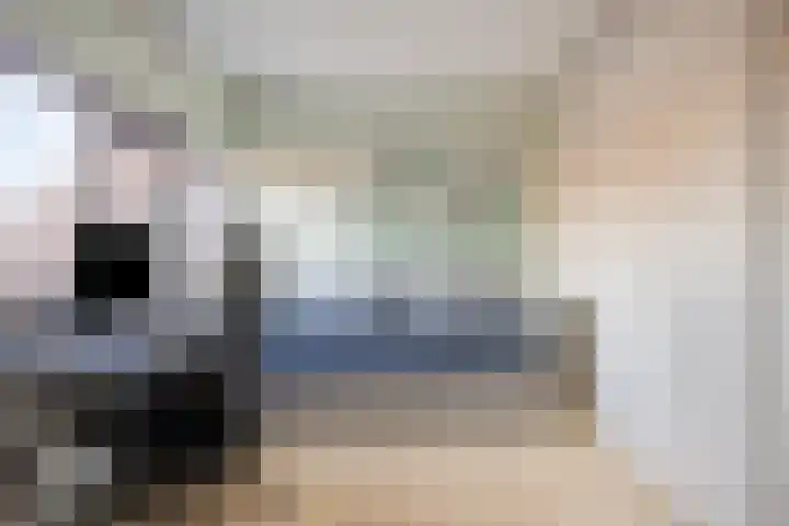 Rossinistraat 2 Waalwijk thumbnail 32