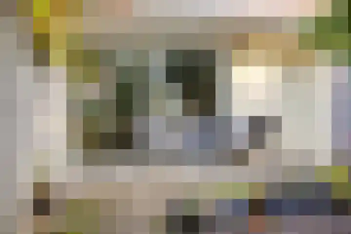 Rossinistraat 2 Waalwijk thumbnail 41