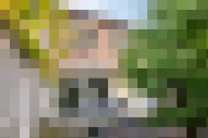 Rossinistraat 2 Waalwijk thumbnail 42