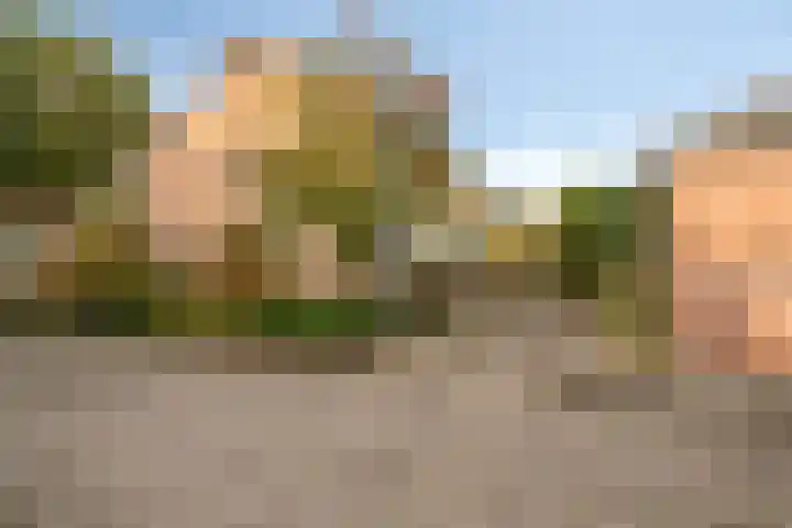 Rossinistraat 2 Waalwijk thumbnail 46