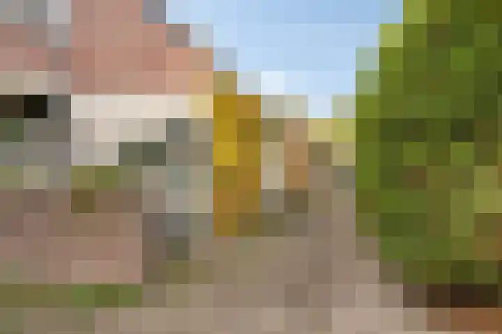 Rossinistraat 2 Waalwijk thumbnail 47