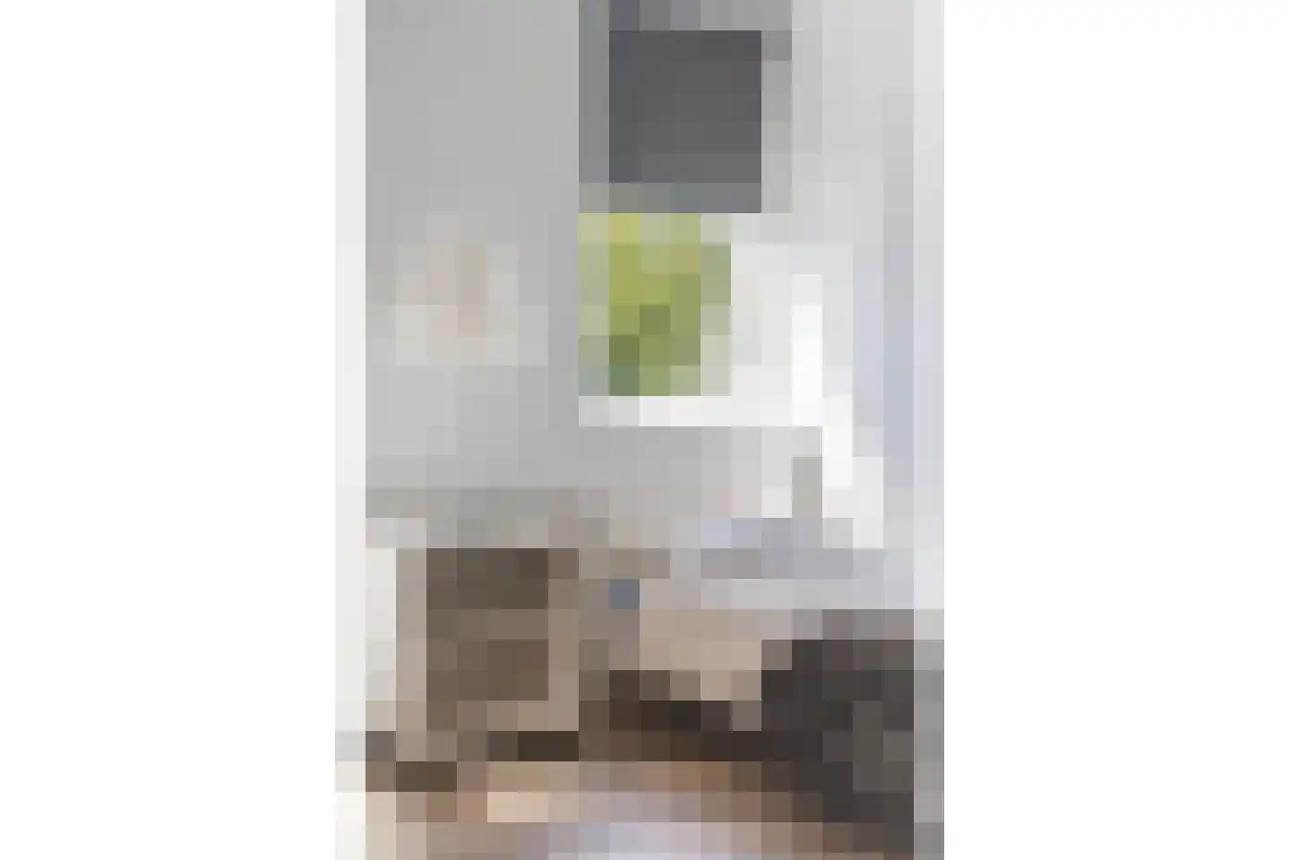 Rossinistraat 26 Zwolle thumbnail 22