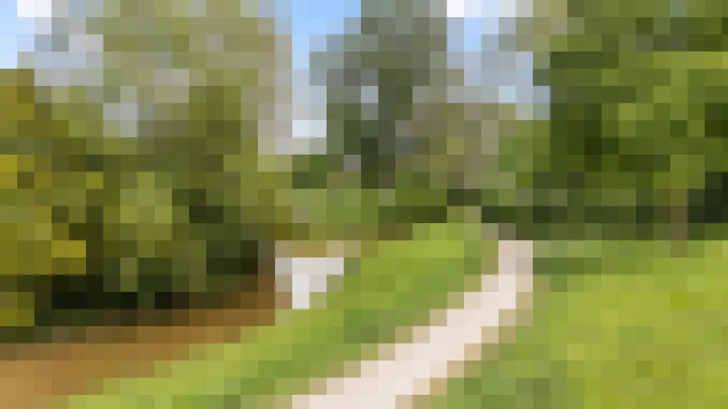Rossinistraat 26 Zwolle thumbnail 28