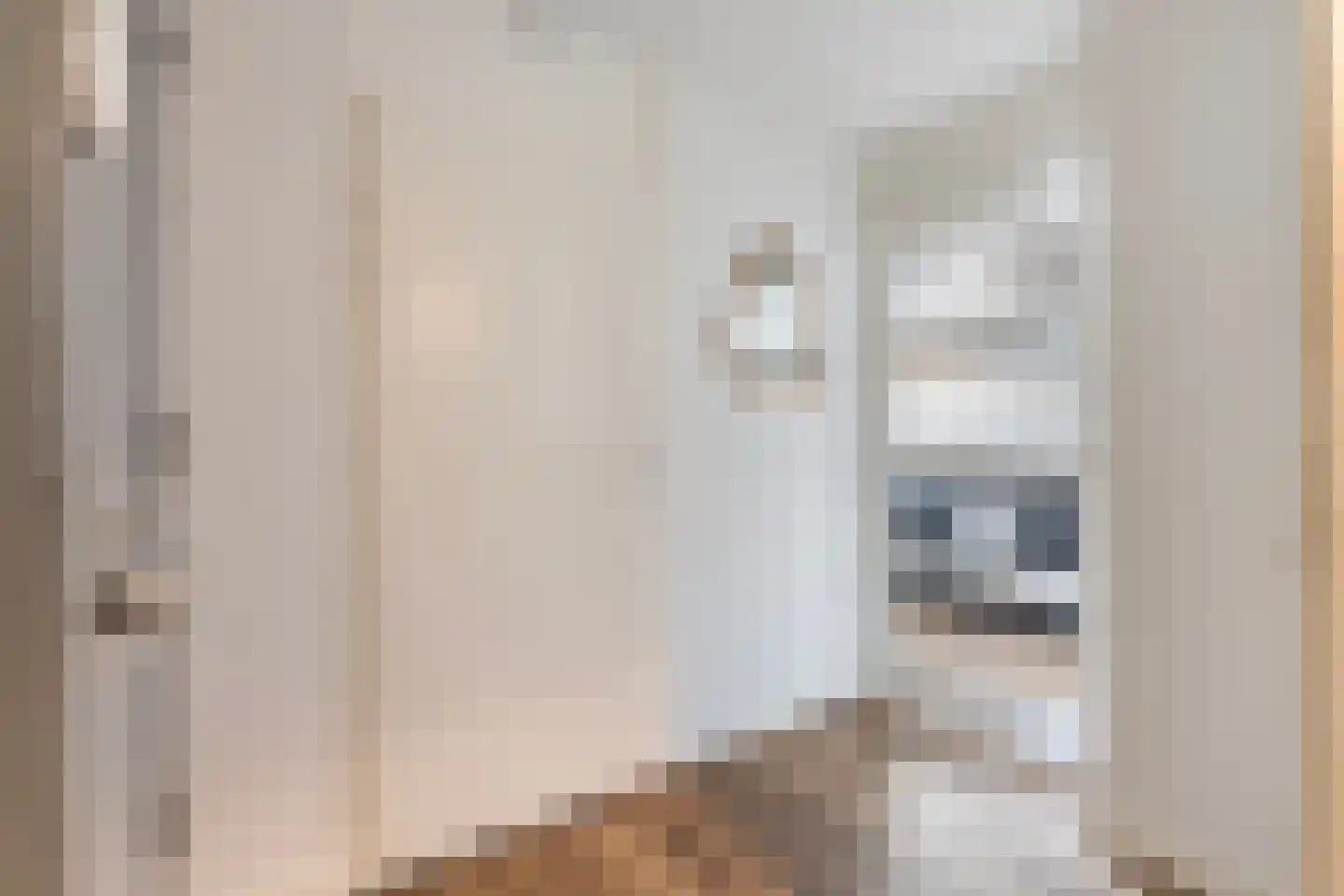 Rossinistraat 26 Zwolle thumbnail 5