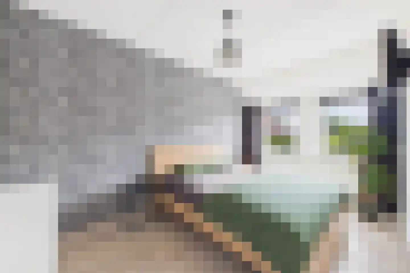 Rossinistraat 30 Hulst thumbnail 13