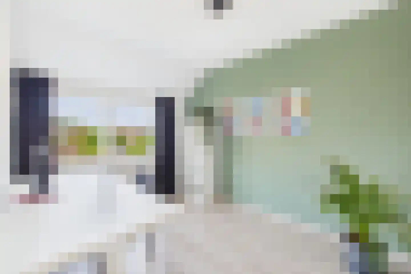 Rossinistraat 30 Hulst thumbnail 19