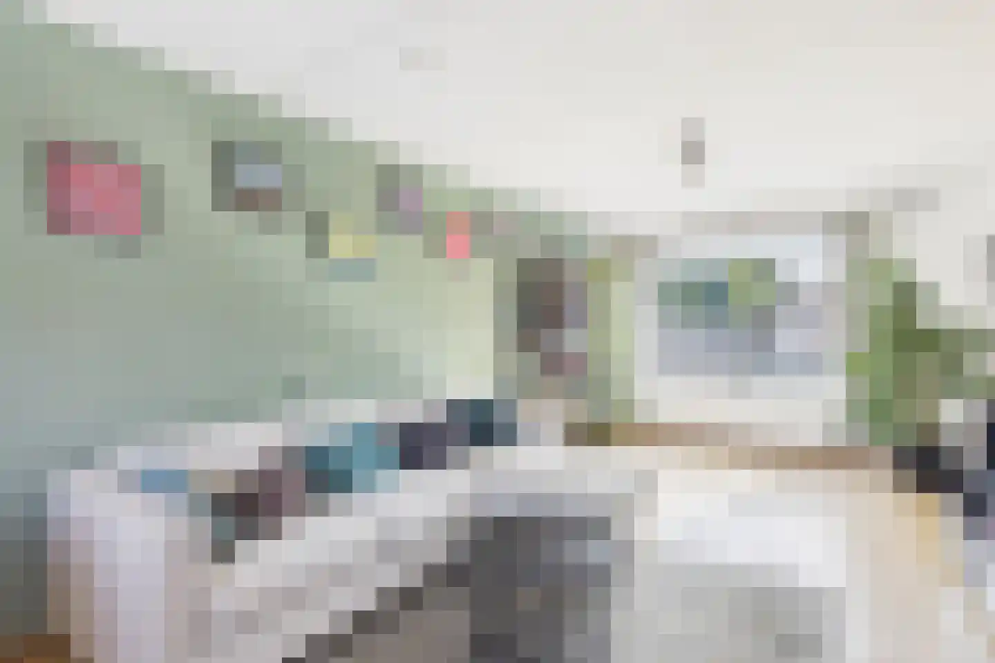Rossinistraat 30 Hulst thumbnail 8