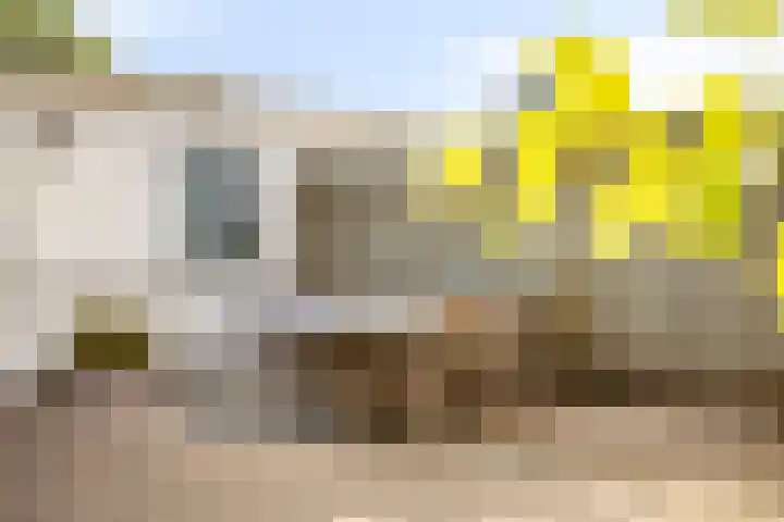 Rossinistraat 30 Terneuzen thumbnail 19