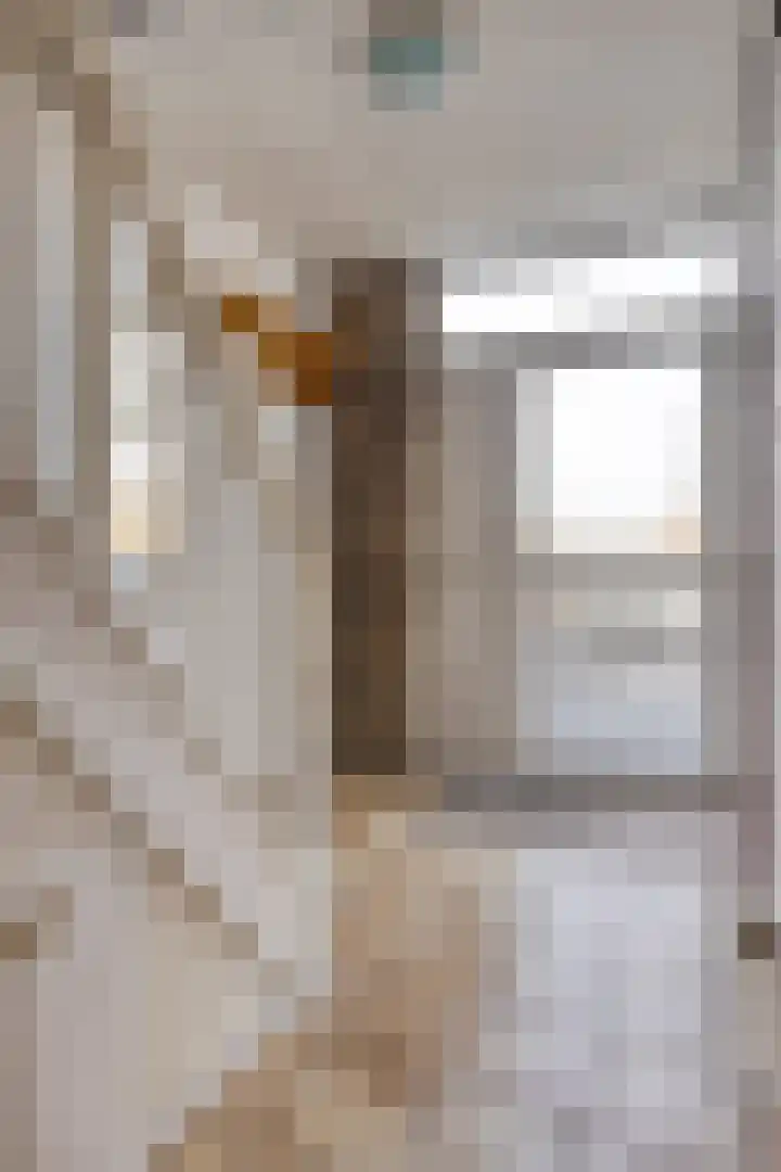 Rossinistraat 30 Terneuzen thumbnail 4
