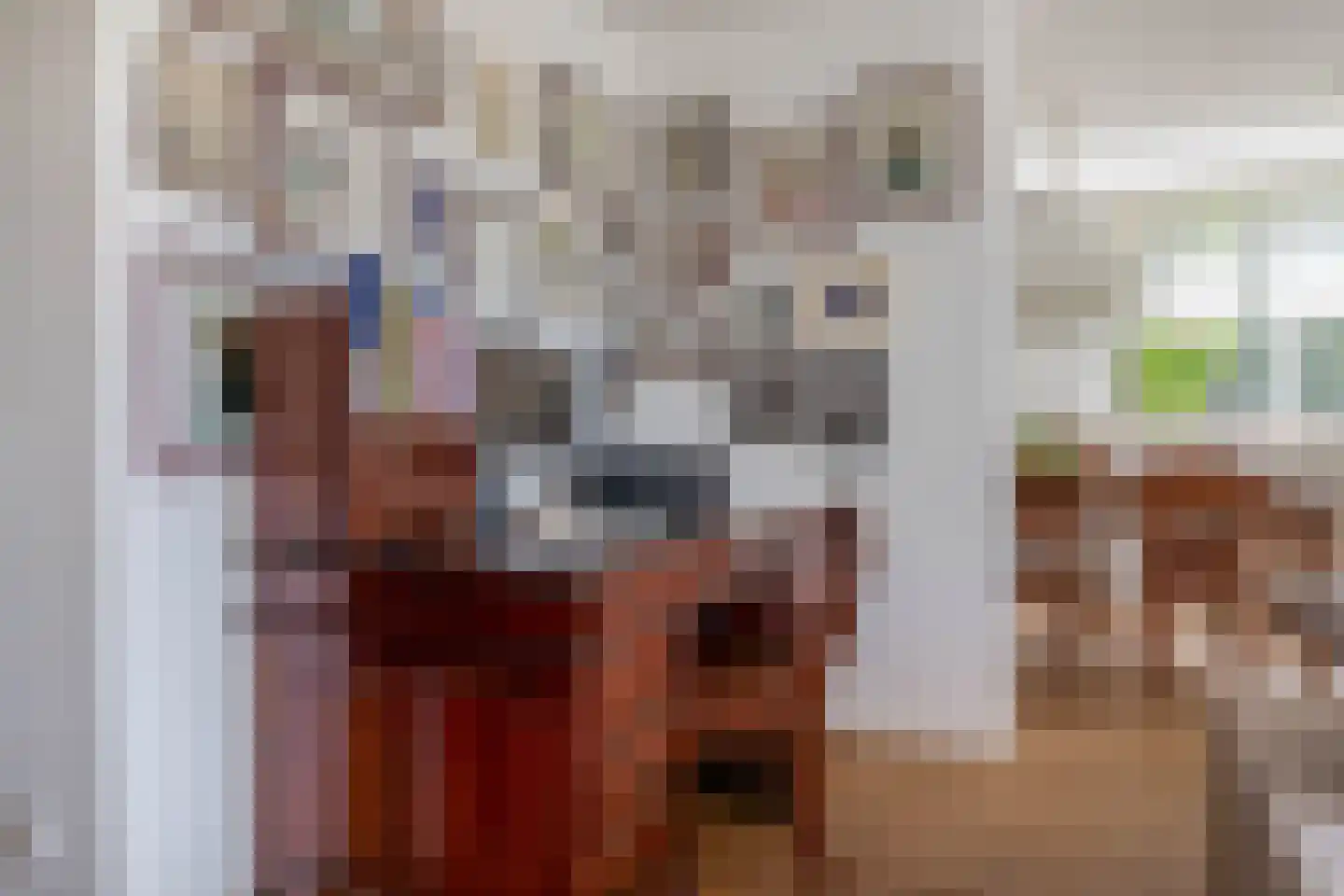 Rossinistraat 38 Capelle aan den IJssel thumbnail 11