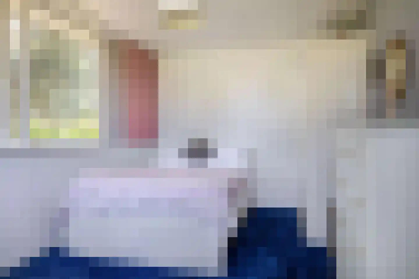 Rossinistraat 38 Capelle aan den IJssel thumbnail 25
