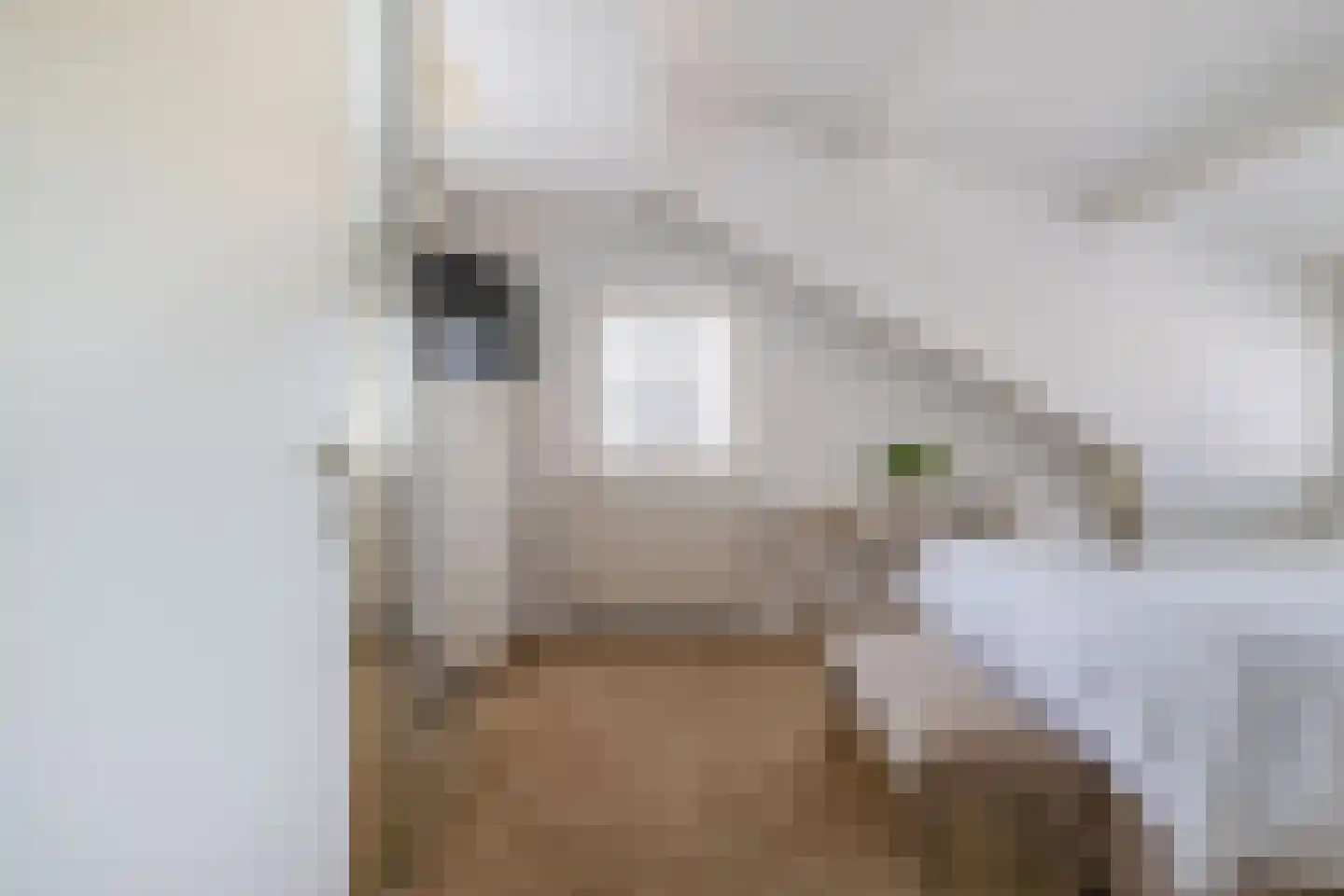 Rossinistraat 38 Capelle aan den IJssel thumbnail 35
