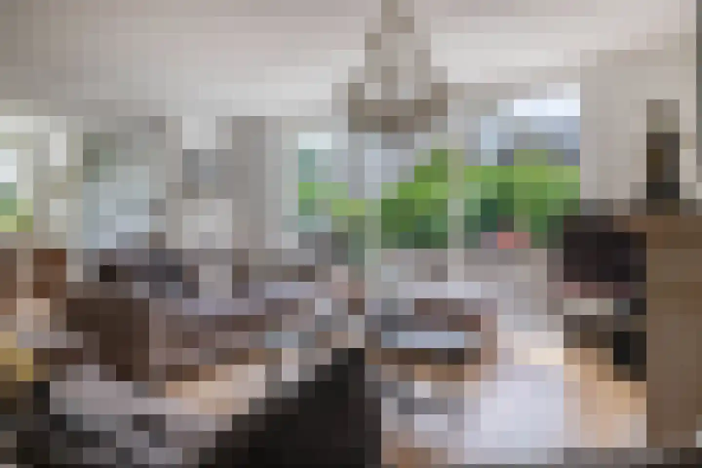 Rossinistraat 38 Capelle aan den IJssel thumbnail 4