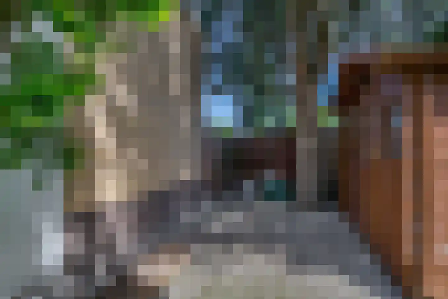 Rossinistraat 38 Capelle aan den IJssel thumbnail 42