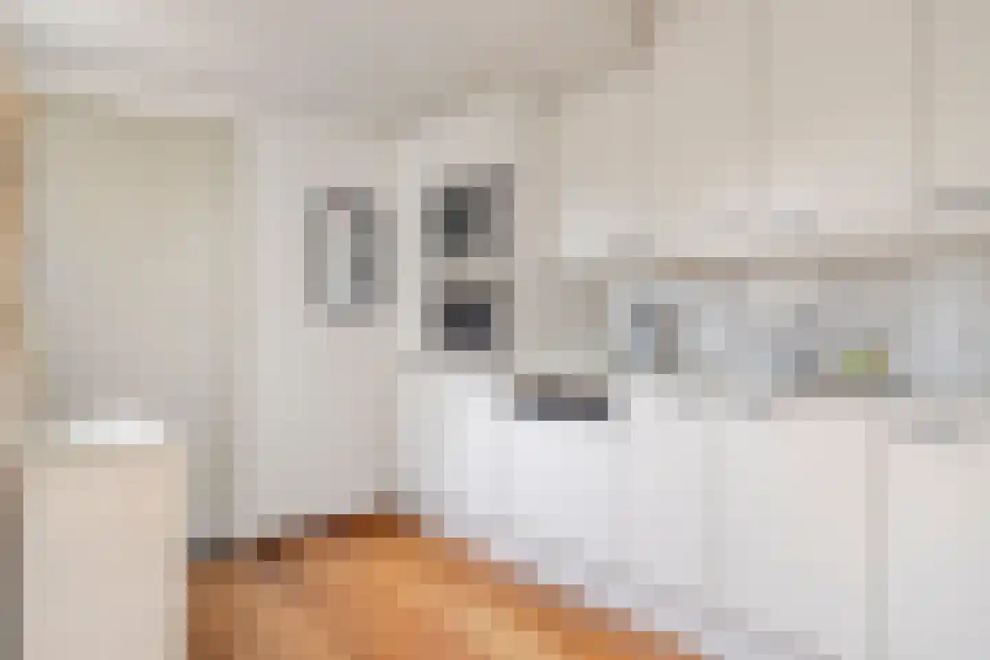 Rossinistraat 40 Hulst thumbnail 13