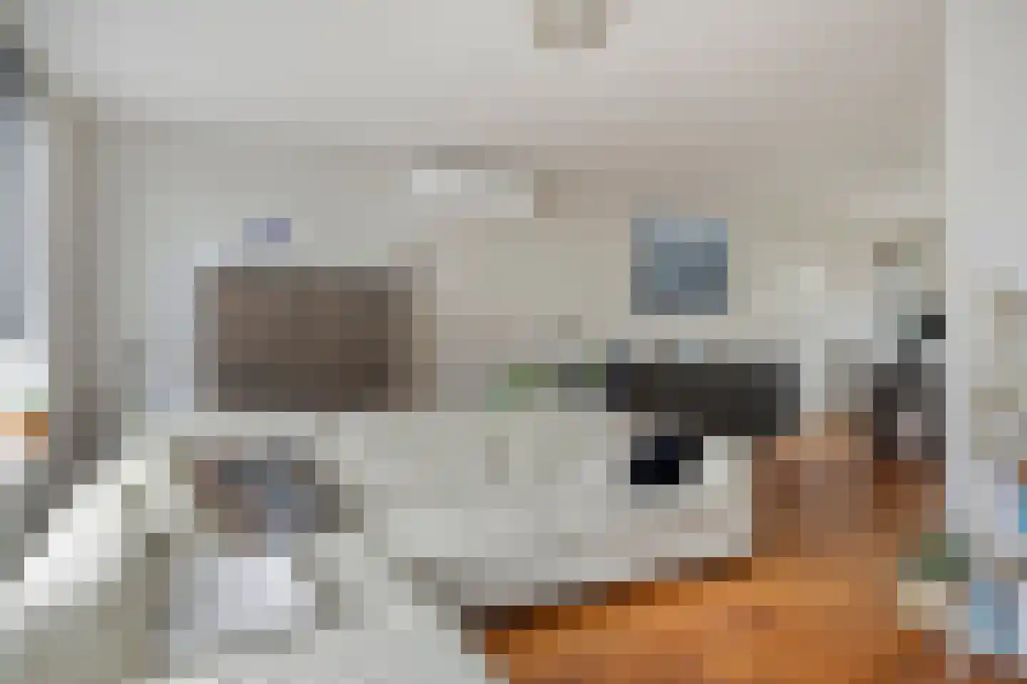 Rossinistraat 40 Hulst thumbnail 9