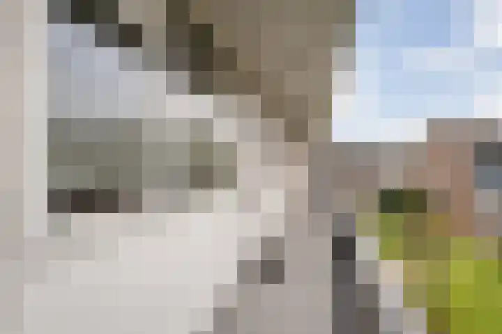 Rossinistraat 42 Almelo thumbnail 6