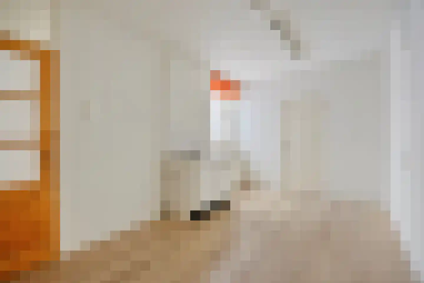 Rossinistraat 440 Heemskerk thumbnail 22