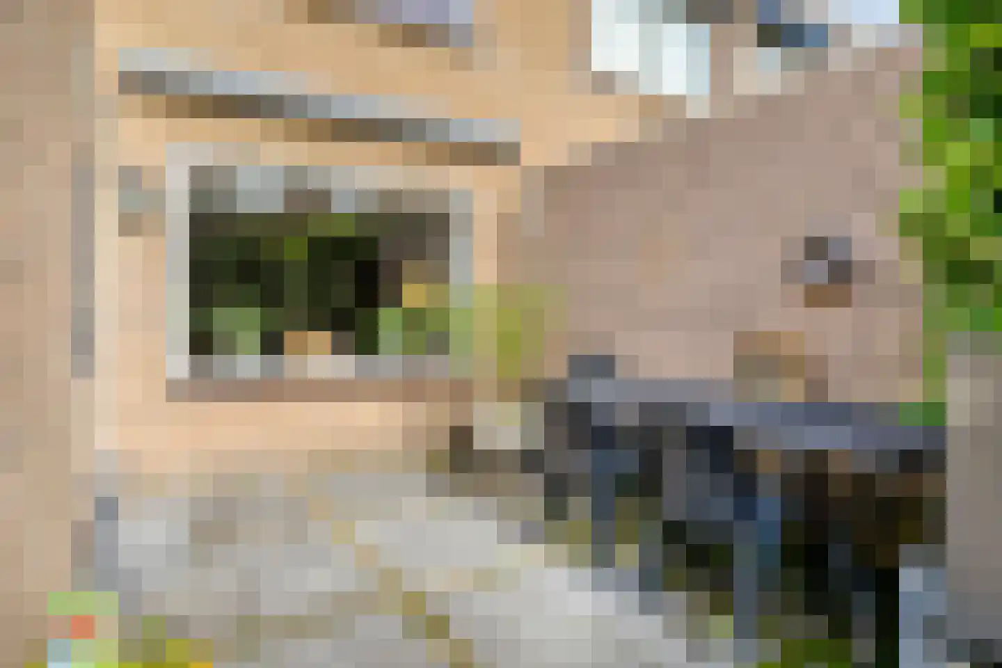 Rossinistraat 45 Waalwijk thumbnail 27