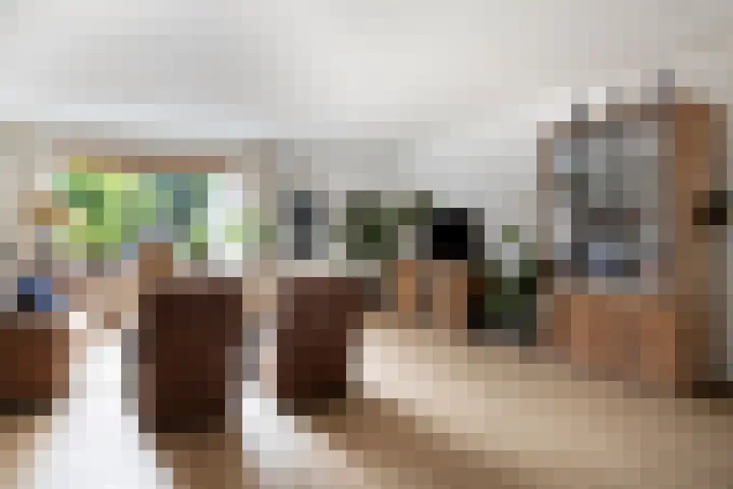 Rossinistraat 45 Waalwijk thumbnail 8