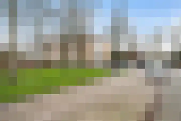 Rossinistraat 46 Zwolle thumbnail 4
