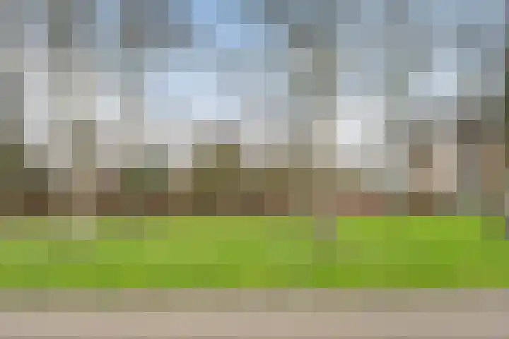 Rossinistraat 46 Zwolle thumbnail 5