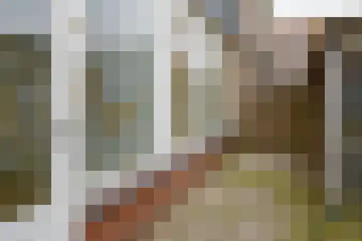 Rossinistraat 6 Almelo thumbnail 18