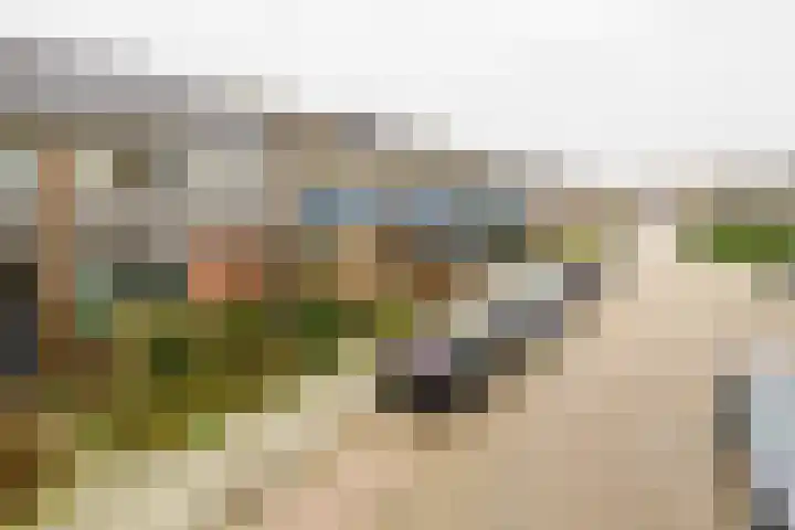 Rossinistraat 6 Almelo thumbnail 23