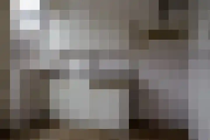 Rossinistraat 6 Almelo thumbnail 5