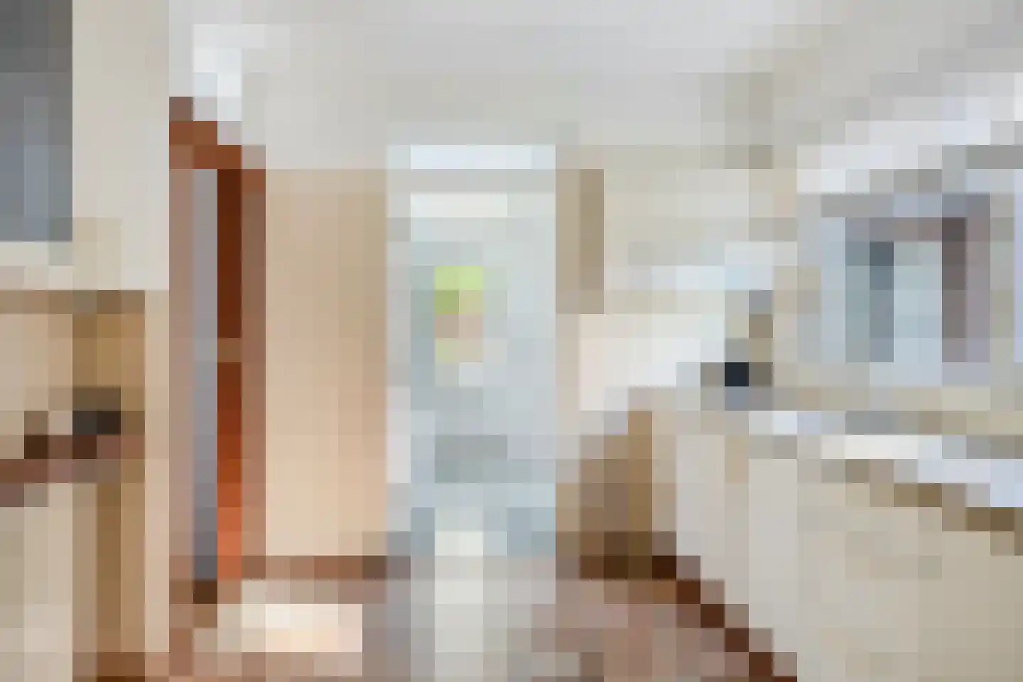 Rossinistraat 6 Hengelo thumbnail 14