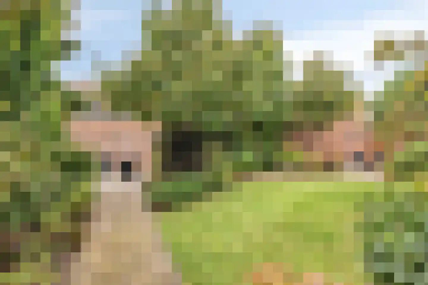 Rossinistraat 6 Hengelo thumbnail 33