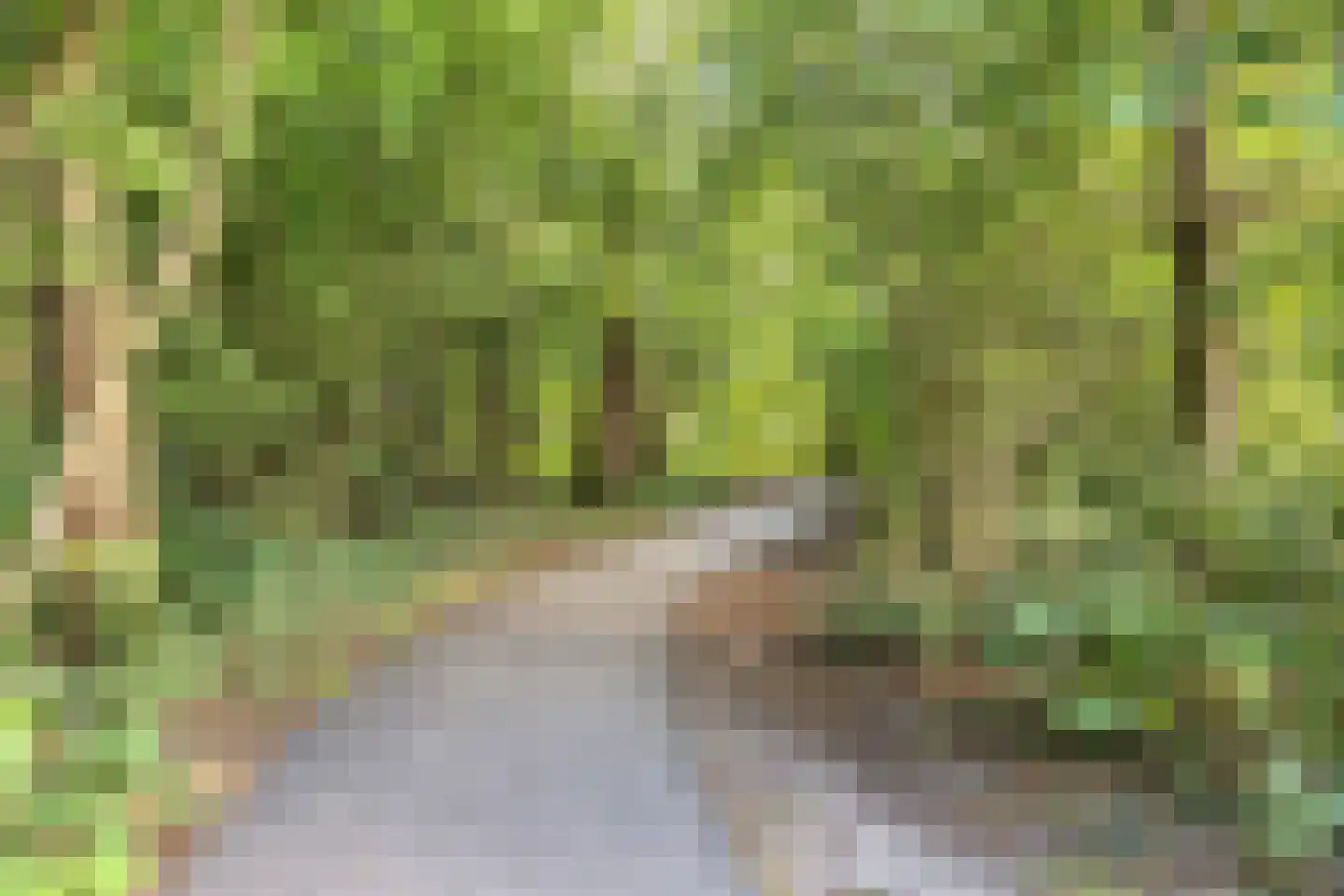 Rossinistraat 6 Hengelo thumbnail 38