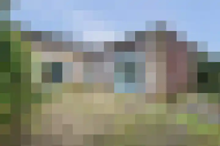 Rossinistraat 9 Oud-Beijerland thumbnail 28